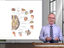 Cranial Nerves I-VI: Overview & Functional Components - Brain & Nervous System Cranial Nerves I-VI: Overview & Functional Components - Brain & Nervous System