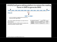CRISPR-Cas9 Deletion Strategy that Targets the Majority of DMD Patients in hiPSC-derived Muscle CRISPR-Cas9 Deletion Strategy that Targets the Majority of DMD Patients in hiPSC-derived Muscle