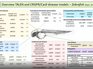 CRISPR/Cas9 & TALENs fuel genetically engineered clinically relevant Xenopus tropicalis models CRISPR/Cas9 & TALENs fuel genetically engineered clinically relevant Xenopus tropicalis models