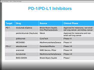 Critical Advances in Immunotherapy for Kidney Cancer, with Nizar Tannir