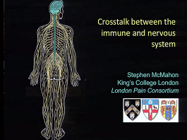 Crosstalk between the nociceptive and immune systems Crosstalk between the nociceptive and immune systems