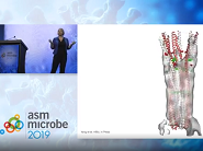 Cryo-Electron Tomography for understanding bacterial interactions with their environment