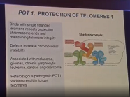 CTOS Rome STS Lecture 7 c Sarcoma Heritability POT 1 Sarcoma Predisposition Gene CTOS Rome STS Lecture 7 c Sarcoma Heritability POT 1 Sarcoma Predisposition Gene