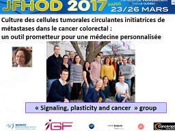 Culture des cellules tumorales circulantes initiatrices de métastases dans le cancer colorectal : un outil prometteur pour une médecine personnalisée