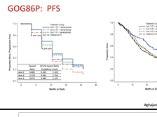 Current treatment standards for primary ovarian cancer
