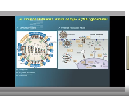 Développement de nanorings contre les virus de l'influenza aviaire de type A