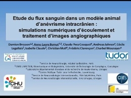 Développement d'un modèle animal d’anévrisme intracranien optimisé et d'un logiciel d'analyse de flux en angiographie
