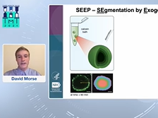 David Morse, B.A., Predoc, NCATS