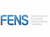 David Poeppel on Neuronal oscillations and language processing