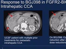 Day 1 - Basic Research Update Day 1 - Basic Research Update