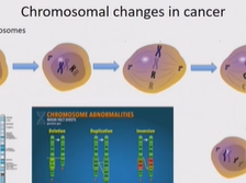 Day 1 - Immunotherapies Day 1 - Immunotherapies