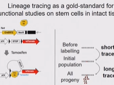 Day 2 - A Distributed Hepaocyte Day 2 - A Distributed Hepaocyte