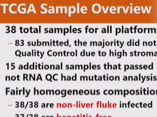 Day 2 - IDH Mutations Day 2 - IDH Mutations