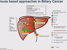 Day 2 - Immunotherapy Day 2 - Immunotherapy