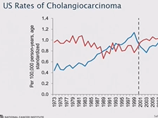 Day 2 - Incidence of Cholangiocarcinoma Day 2 - Incidence of Cholangiocarcinoma