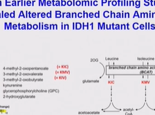 Day 2 - Liabilities of IDH Mutant Cells Day 2 - Liabilities of IDH Mutant Cells