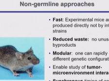 Day 2 - Mitochondrial Dysfunction Day 2 - Mitochondrial Dysfunction