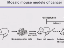Day 2 - Next Generation Mouse Model Day 2 - Next Generation Mouse Model