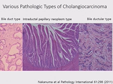 Day 2 - Patterns/Outcomes from CCA DB Day 2 - Patterns/Outcomes from CCA DB