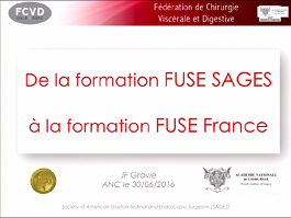 De la formation FUSE SAGES (Society of American Gastrointestinal and Endoscopic Surgeons) aux USA à la formation FUSE France