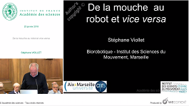 De la mouche au robot et vice versa