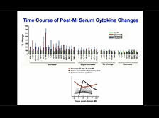 Decrease in B-Lymphocyte Levels...Reduces the Efficacy of Autologous Bone Marrow Cell Therapy Decrease in B-Lymphocyte Levels...Reduces the Efficacy of Autologous Bone Marrow Cell Therapy