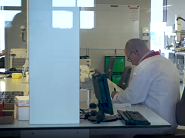 Department of Genetics, University Medical Center Groningen