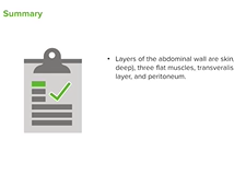 Dermatomes and Inguinal Canal - Anatomy Dermatomes and Inguinal Canal - Anatomy