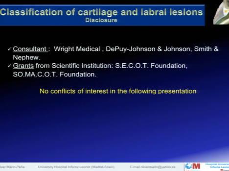Description and classification of cartilage and labral lesions
