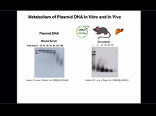 Design, Formulation and Testing of Systemically Dosed Peptide and Polymer DNA and mRNA Nanoparticles Design, Formulation and Testing of Systemically Dosed Peptide and Polymer DNA and mRNA Nanoparticles