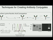 Design, Synthesis, and Application of Antibody Nucleic Acid Analogs as Novel Biopharmaceuticals Design, Synthesis, and Application of Antibody Nucleic Acid Analogs as Novel Biopharmaceuticals