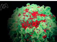 Developing an HIV vaccine Developing an HIV vaccine