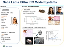Developing Organotypic Slice Cultures... - Iris Sze Ue Luk, Fred Hutchison Cancer Center (D2P23) Developing Organotypic Slice Cultures... - Iris Sze Ue Luk, Fred Hutchison Cancer Center (D2P23)