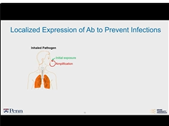 Development of an AAV-based Prophylactic Vaccine for Influenza