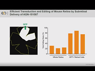 Development of EDIT 101, A Gene-editing Approach to Restore Vision Loss in LCA Type 10 Development of EDIT 101, A Gene-editing Approach to Restore Vision Loss in LCA Type 10
