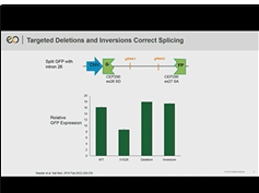 Development of EDIT 101, A Gene-editing Approach to Restore Vision Loss in LCA Type 10 Development of EDIT 101, A Gene-editing Approach to Restore Vision Loss in LCA Type 10