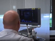 Diabetes Centre, Heart and Diabetes Centre NRW - From metabolic to hemodynamic failure Diabetes Centre, Heart and Diabetes Centre NRW - From metabolic to hemodynamic failure