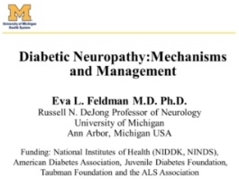 Neuropathie diabétique - Mécanismes et gestion Neuropathie diabétique - Mécanismes et gestion
