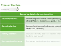 Diarrhea: Pathology, Types & Causes - Pediatric Gastroenterology