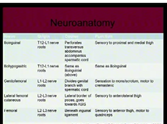 Difficult Problems In Reasonable Patients Panel: Groin Pain Following Inguinal Hernia Repair Difficult Problems In Reasonable Patients Panel: Groin Pain Following Inguinal Hernia Repair