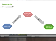 Disorders of Carbohydrate Metabolism - Pediatrics