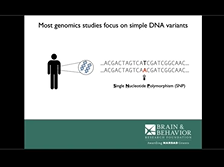 Dissecting the Role of Repetitive Regions of the Genome in Schizophrenia and Autism Dissecting the Role of Repetitive Regions of the Genome in Schizophrenia and Autism