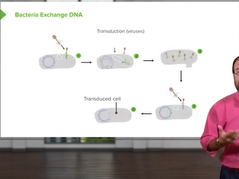 DNA Exchange: Transformation, Conjugation & Transduction _ Microbiology _ Lecturio DNA Exchange: Transformation, Conjugation & Transduction _ Microbiology _ Lecturio