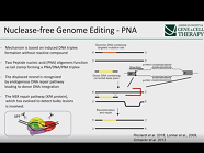 DNA Nucleases in Gene Editing - "No need for a break?" DNA Nucleases in Gene Editing - "No need for a break?"