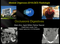Douleur épigastrique : pancréatite et classification(Hémorragie digestive)
