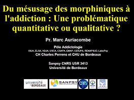 Du mésusage des morphiniques à l'addiction : Une problématique quantitative ou qualitative ? Du mésusage des morphiniques à l'addiction : Une problématique quantitative ou qualitative ?