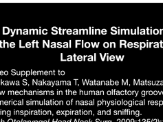 Dynamic Streamline Simulation of Nasal Flow 1