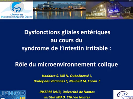 Dysfonctions gliales entériques au cours du syndrome de l'intestin irritable : rôle du micro-environnement colique