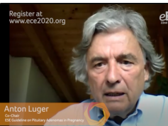 e-ECE 2020 - Pituitary dysfunction during pregnancy - Anton Luger e-ECE 2020 - Pituitary dysfunction during pregnancy - Anton Luger