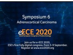 e-ECE 2020: Symposium 6 e-ECE 2020: Symposium 6